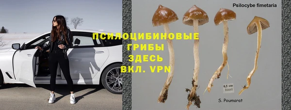 дмт Козловка
