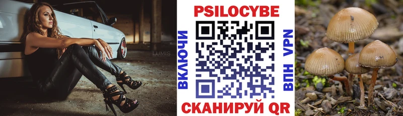 Псилоцибиновые грибы Psilocybine cubensis  Купить где  Красновишерск 